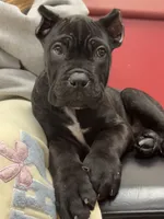 processed/625a1076-022f-4458-a244-933f9427659b/listing/eca4e791-b109-4901-886a-08b08ed8306e/59587d63-a378-45c6-a8da-9bdd2e264546