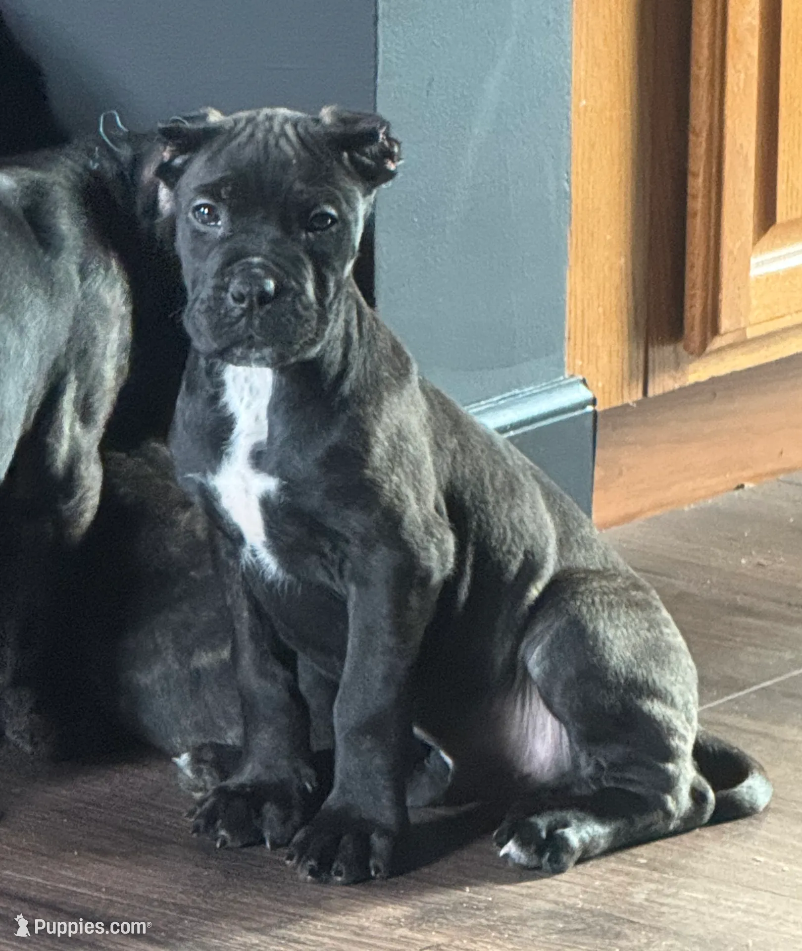 processed/625a1076-022f-4458-a244-933f9427659b/listing/eca4e791-b109-4901-886a-08b08ed8306e/aef583e3-da14-408b-a126-b32ad4b0af23