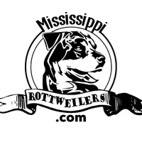 Mississippirottweilers.com, a male Rottweiler for sale in Liberty, MS – Photo 4 of 7
