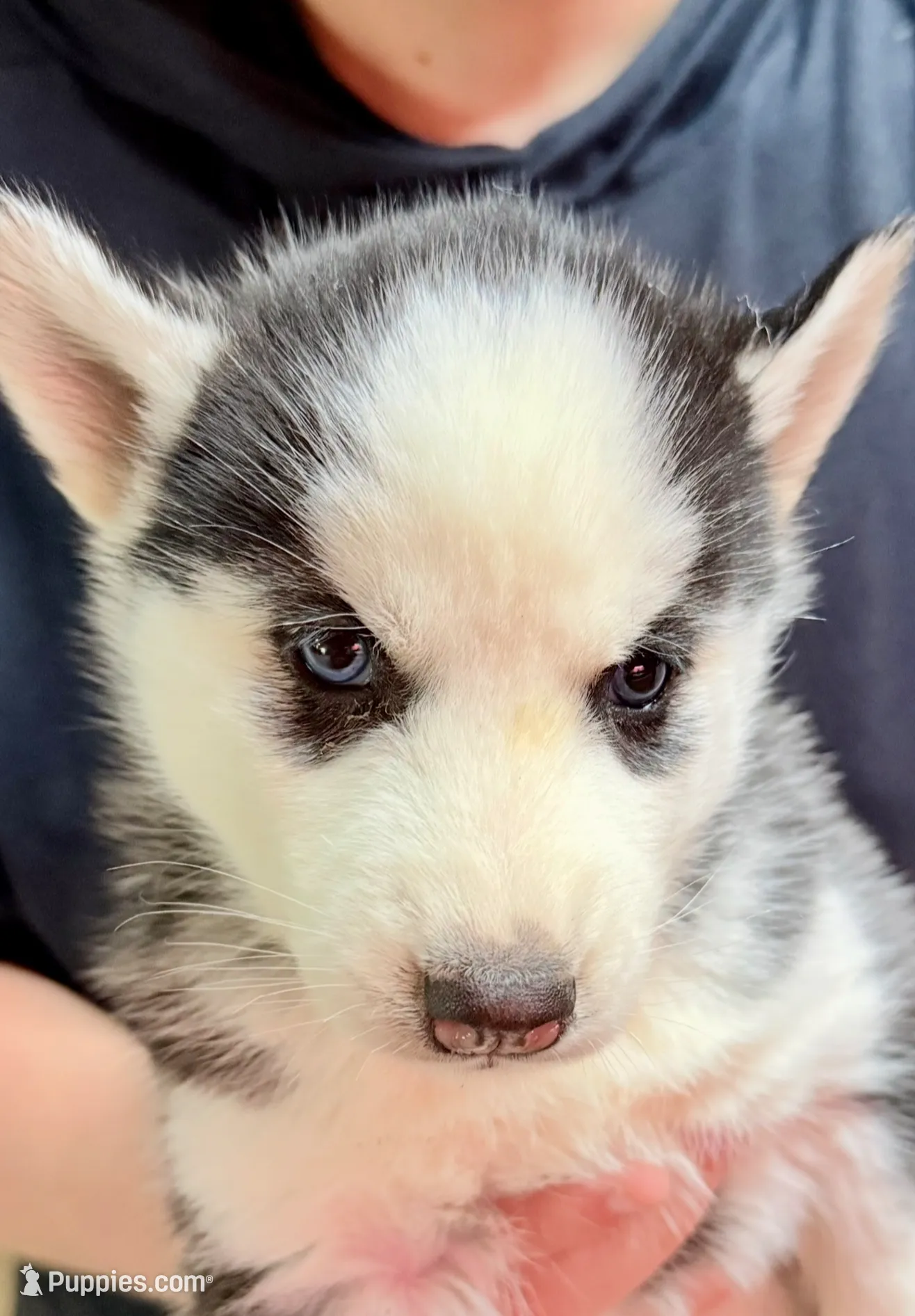 processed/625c1d83-5317-4ccb-af7e-c6ed8a03f17c/listing/399b0382-4037-4bf8-8efb-b0dd1525f8b5/4908face-4f6d-4127-b847-d2c47ee3ba01