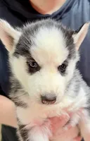 processed/625c1d83-5317-4ccb-af7e-c6ed8a03f17c/listing/399b0382-4037-4bf8-8efb-b0dd1525f8b5/ddd77a6a-7f7b-47ed-af64-9bd7dc5b3b26