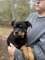 processed/625c1d83-5317-4ccb-af7e-c6ed8a03f17c/listing/486edc05-66e8-43a6-9b0c-e28355649867/b408eb6d-febc-4646-899c-416f7448eff9