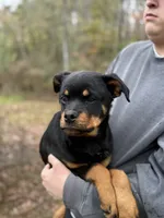 processed/625c1d83-5317-4ccb-af7e-c6ed8a03f17c/listing/486edc05-66e8-43a6-9b0c-e28355649867/ecf9a59d-67e6-42ee-99d0-140a63ce129d