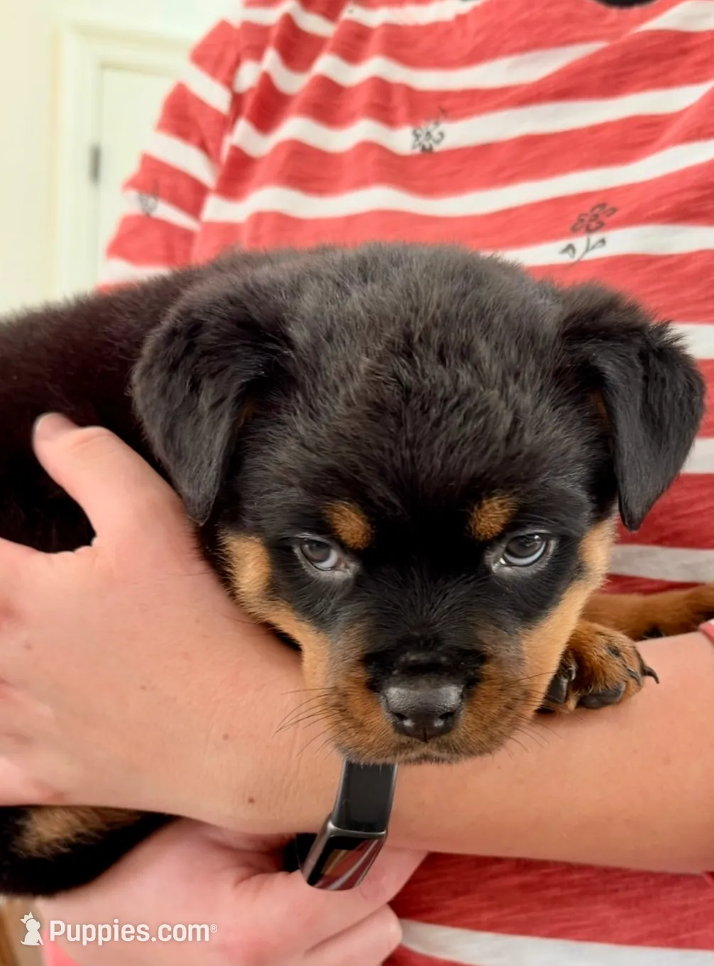 processed/625c1d83-5317-4ccb-af7e-c6ed8a03f17c/listing/5c300223-0762-4d3e-8fff-d734114ed8fd/197ee6d9-c8a3-4525-bb17-e13c7ff5f1f6