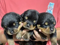 processed/625c1d83-5317-4ccb-af7e-c6ed8a03f17c/listing/5cecc152-90f7-4adb-8dba-10ddf7db511d/1d8a1002-ae2b-4383-b1e9-c5ca903a920e