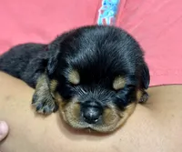 processed/625c1d83-5317-4ccb-af7e-c6ed8a03f17c/listing/5cecc152-90f7-4adb-8dba-10ddf7db511d/9cd12127-9fb9-452d-8261-194796f6f605