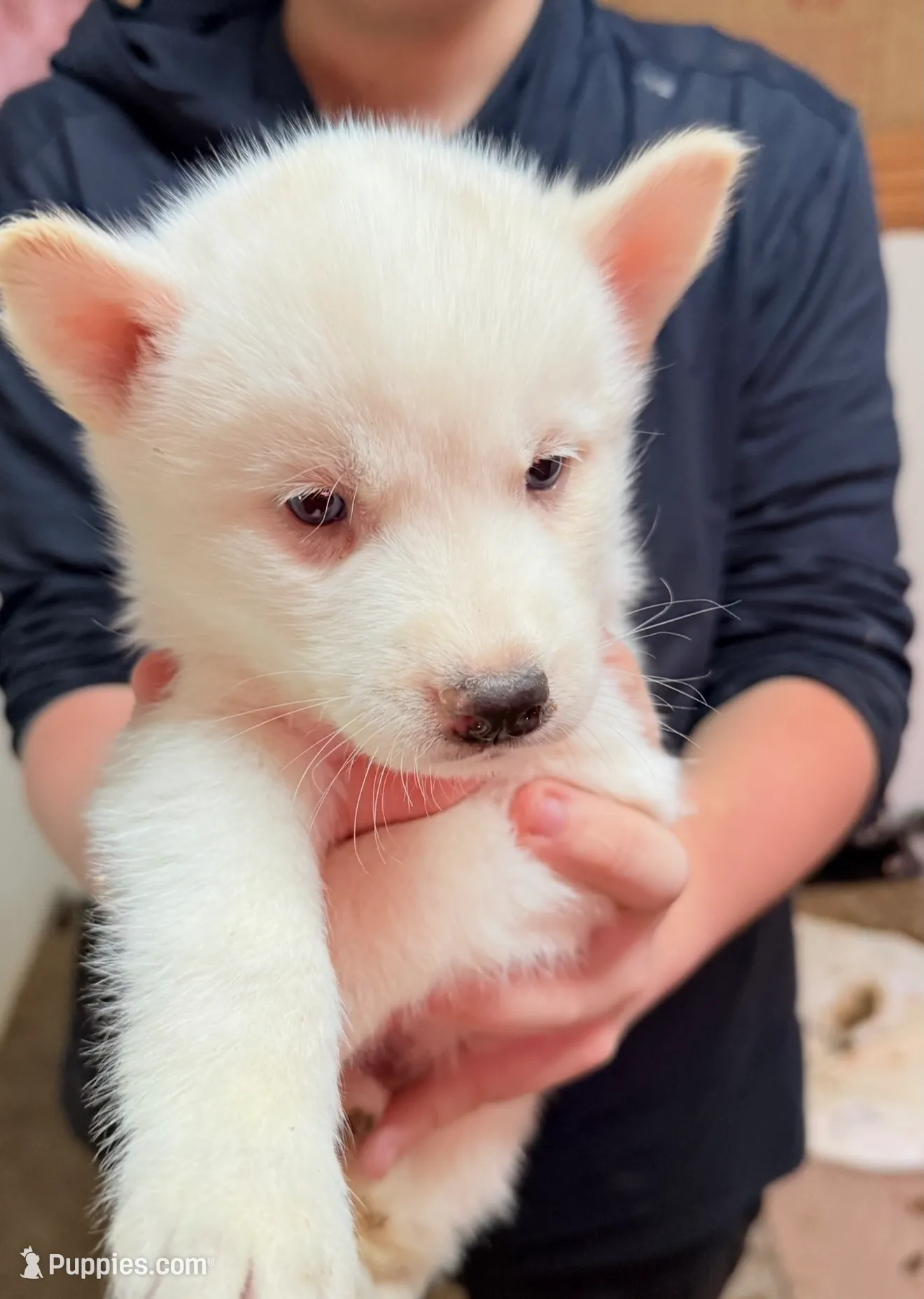 processed/625c1d83-5317-4ccb-af7e-c6ed8a03f17c/listing/6961bb26-1ff4-4679-be19-8d27e0702207/dbfa361e-e251-4ff3-8982-bacfe2cdefdf