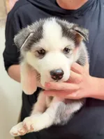 processed/625c1d83-5317-4ccb-af7e-c6ed8a03f17c/listing/701e5144-d0f8-4da5-9f44-9321c5b5bb89/e19b6033-d487-47c0-93a9-7317f1b3c886