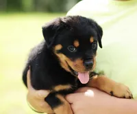 processed/625c1d83-5317-4ccb-af7e-c6ed8a03f17c/listing/ca8e7c2b-cf89-4d95-8317-b3fb40e003f0/5810c009-9fc5-4b35-8c72-71b50466674f