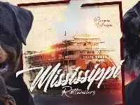 Imported Champ bloodlines AKC, a female Rottweiler for sale in Liberty, MS – Photo 6 of 6