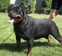 processed/625c1d83-5317-4ccb-af7e-c6ed8a03f17c/listing/ca8e7c2b-cf89-4d95-8317-b3fb40e003f0/e0a925af-ae48-4380-9c22-0da97eeedd4a