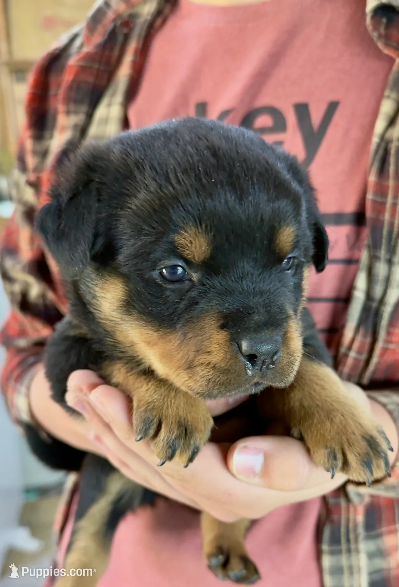 processed/625c1d83-5317-4ccb-af7e-c6ed8a03f17c/listing/e3a35e86-1a7d-4ab7-8bd2-2a9dc1079c5a/98365f32-5c8f-4405-8fd3-59033578ddb1