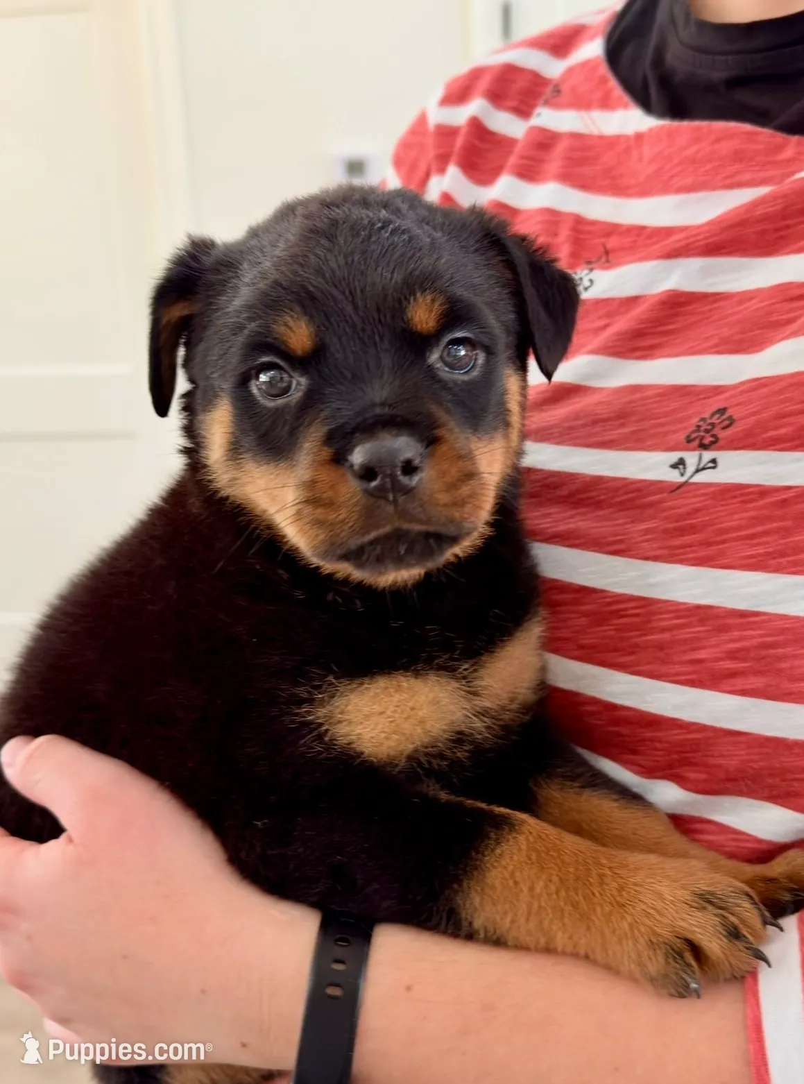 processed/625c1d83-5317-4ccb-af7e-c6ed8a03f17c/listing/e3a35e86-1a7d-4ab7-8bd2-2a9dc1079c5a/e06e2f91-45b6-41e1-b480-448698021cb2