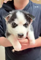 processed/625c1d83-5317-4ccb-af7e-c6ed8a03f17c/listing/faf644be-6842-4a24-9555-f25b9169119f/527ffba2-9557-4024-979f-1fd877663c31