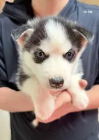 processed/625c1d83-5317-4ccb-af7e-c6ed8a03f17c/listing/faf644be-6842-4a24-9555-f25b9169119f/61f14167-9b3c-4636-9109-b98a300e2607