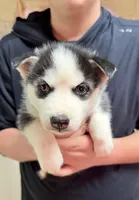 processed/625c1d83-5317-4ccb-af7e-c6ed8a03f17c/listing/faf644be-6842-4a24-9555-f25b9169119f/c54048b3-99e1-4f3e-bd51-2ab2f97ece9a