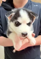 processed/625c1d83-5317-4ccb-af7e-c6ed8a03f17c/listing/faf644be-6842-4a24-9555-f25b9169119f/f7dd695f-3bbb-4739-a69a-5ce3b0d4fb5b