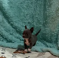 processed/6267886d-196c-4616-a83c-a9b16b525327/listing/5d08a415-235f-4b1b-b083-23ea05b17160/05104bec-7e8e-4bab-b9c7-ba718b2be395