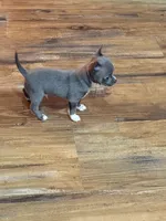 processed/6267886d-196c-4616-a83c-a9b16b525327/listing/5d08a415-235f-4b1b-b083-23ea05b17160/122c35e8-f128-451f-aec1-0a5a1b2e0d24