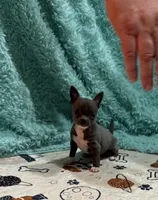 processed/6267886d-196c-4616-a83c-a9b16b525327/listing/5d08a415-235f-4b1b-b083-23ea05b17160/30b5a614-9983-4e55-9be7-a1187085163e