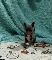 processed/6267886d-196c-4616-a83c-a9b16b525327/listing/5d08a415-235f-4b1b-b083-23ea05b17160/352f0167-7d45-48de-83c8-23cc37edc709