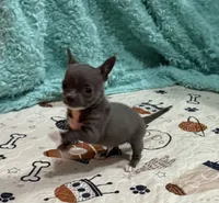 processed/6267886d-196c-4616-a83c-a9b16b525327/listing/5d08a415-235f-4b1b-b083-23ea05b17160/dff1bca4-88d5-41da-b8fc-96325f2a49bd