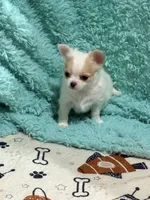 processed/6267886d-196c-4616-a83c-a9b16b525327/listing/a3a96f78-5421-4c0a-8230-131708b280c9/61ef989c-e7de-4952-9cf4-ded0d621caa4