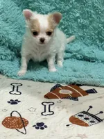 processed/6267886d-196c-4616-a83c-a9b16b525327/listing/a3a96f78-5421-4c0a-8230-131708b280c9/b0bb87ad-f36b-4955-a9df-f8006ff69a9e