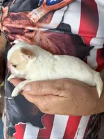 processed/6267886d-196c-4616-a83c-a9b16b525327/listing/a3a96f78-5421-4c0a-8230-131708b280c9/e54a4a68-f4fe-4a75-9f7e-b5e077e20486