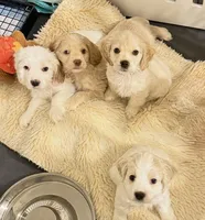 processed/6268cdba-81ad-4837-bf28-e1580595421a/facility/68aa1f68-d186-4138-b153-bbbd80ba1f0c