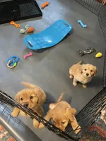 processed/6268cdba-81ad-4837-bf28-e1580595421a/facility/a57311b8-6f37-4dce-966f-6d484940698c