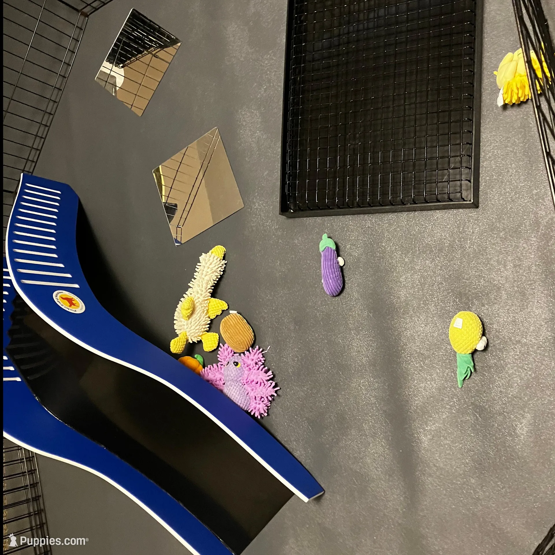 processed/6268cdba-81ad-4837-bf28-e1580595421a/facility/e9ec9613-b393-4f36-b4fe-a6e59088b8e8