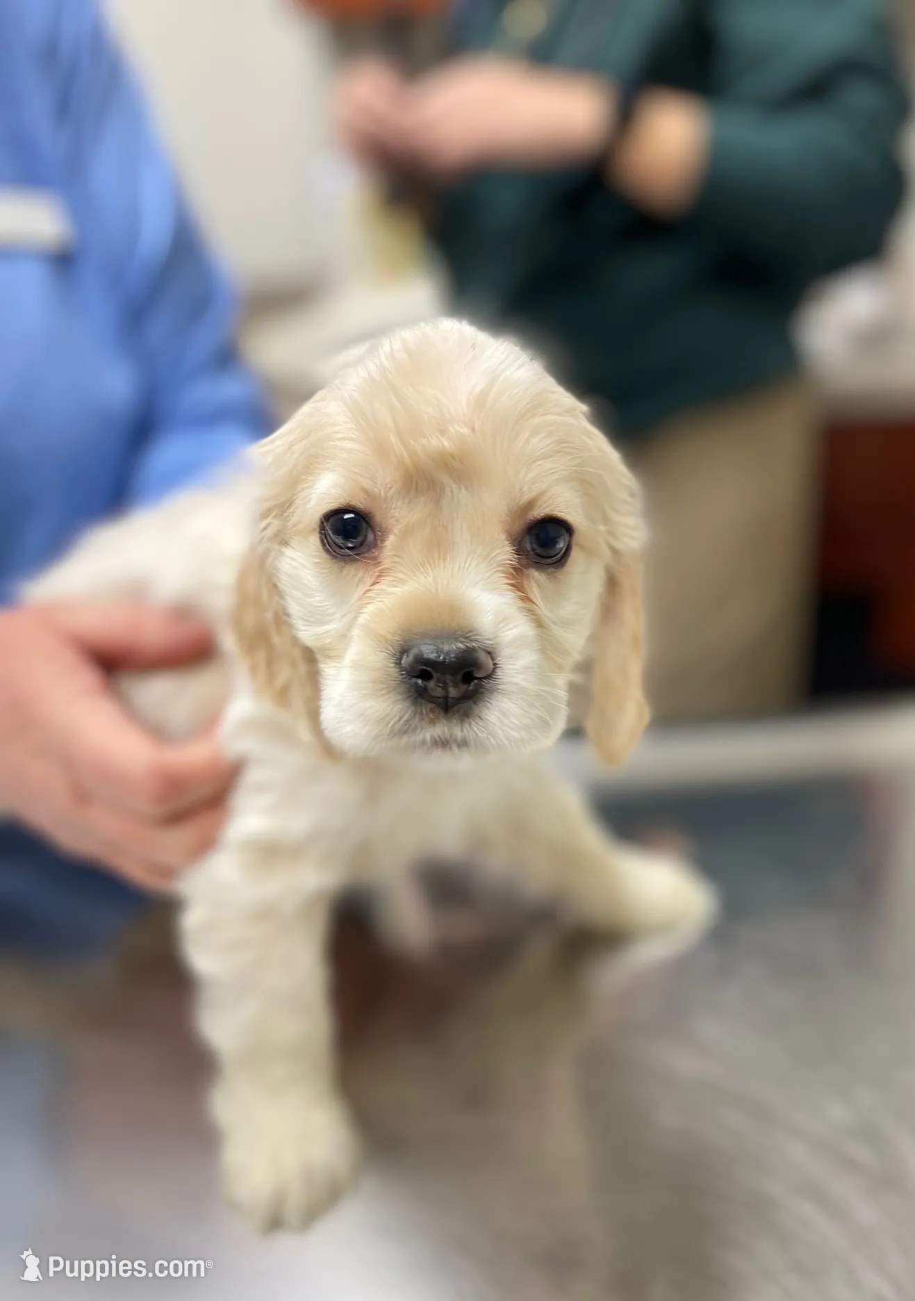 processed/6268cdba-81ad-4837-bf28-e1580595421a/listing/1e38b036-53e1-4f12-b3c4-236656466813/27635631-8e21-4386-82d4-569f881e2f00