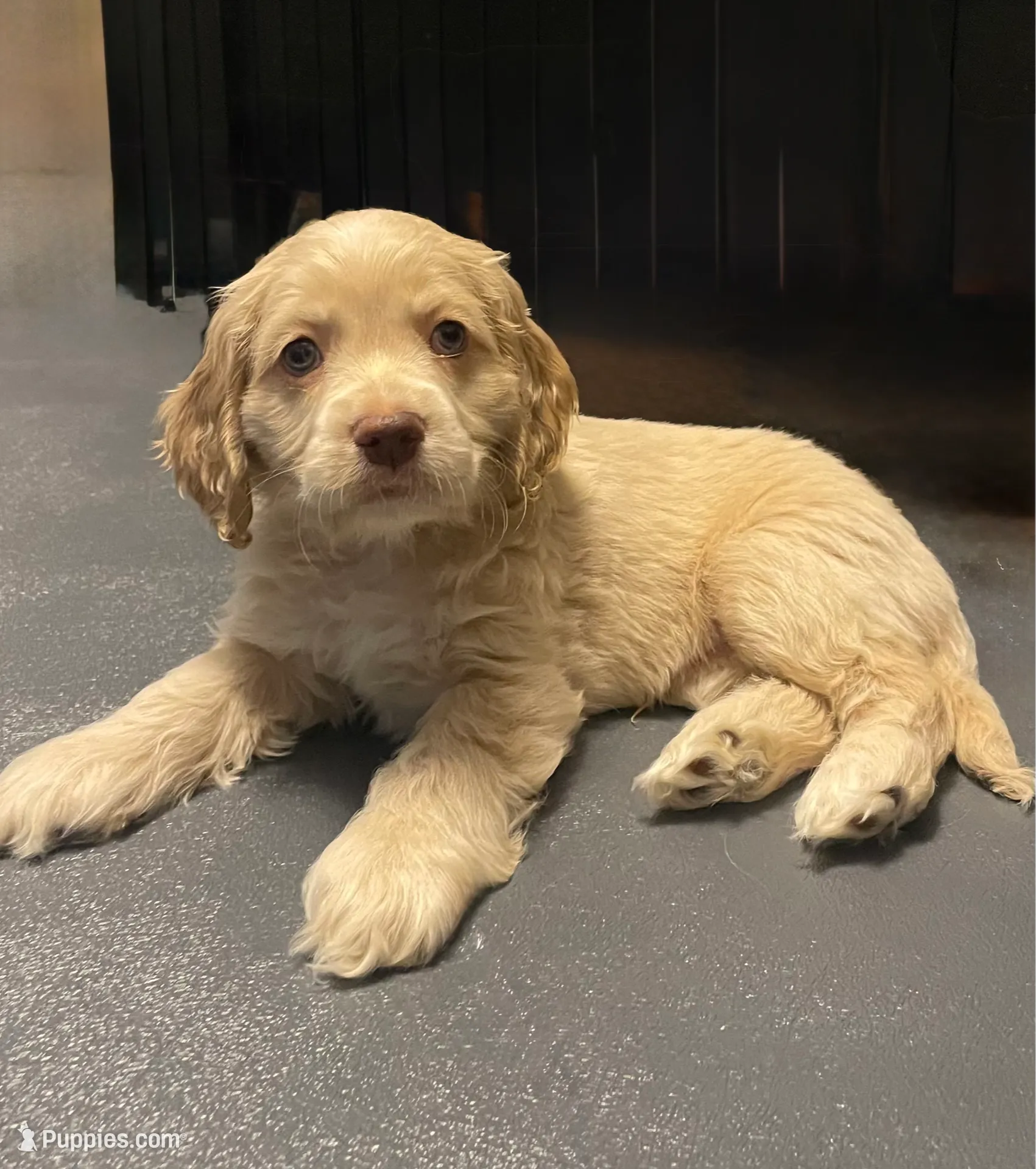 processed/6268cdba-81ad-4837-bf28-e1580595421a/listing/9a8b5a53-3ac8-4071-b00a-be8b8d5eb196/2b48a83b-3821-4ddf-bd18-83a90a93b324