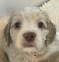 processed/6268cdba-81ad-4837-bf28-e1580595421a/listing/9a8b5a53-3ac8-4071-b00a-be8b8d5eb196/f2539e81-4606-42fc-b72c-2748f69e8c2a