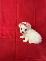 processed/626c3409-7468-438c-8543-cb5059a78150/listing/c3e8f1d9-75d3-4120-96c7-63bad997b419/f10d4fd2-03c7-4025-a45b-19977ec102c1