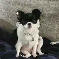 processed/626d2517-3c5c-45b5-949b-80838d4164ef/facility/55775878-8776-4ce5-9760-449d07ba9921