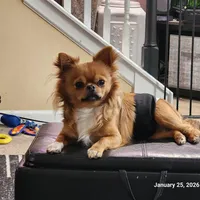 processed/626d2517-3c5c-45b5-949b-80838d4164ef/facility/5840a616-3e90-493f-9953-604061ed680a