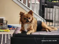 processed/626d2517-3c5c-45b5-949b-80838d4164ef/facility/5840a616-3e90-493f-9953-604061ed680a