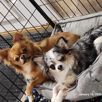 processed/626d2517-3c5c-45b5-949b-80838d4164ef/facility/8265644e-8209-4c4c-bc36-d02d12ec8545