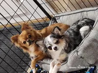 processed/626d2517-3c5c-45b5-949b-80838d4164ef/facility/8265644e-8209-4c4c-bc36-d02d12ec8545