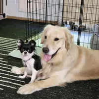 processed/626d2517-3c5c-45b5-949b-80838d4164ef/facility/a5424a5f-053b-45df-8aea-21d913183162