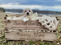 processed/626e8c41-28fd-43c9-bcb5-7dd9be7e6bc7/listing/154ff256-4452-44db-94a1-f250ff2cdeb3/5a9117c8-35ab-4ccb-a34e-b3a8d119c832