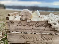 processed/626e8c41-28fd-43c9-bcb5-7dd9be7e6bc7/listing/154ff256-4452-44db-94a1-f250ff2cdeb3/c8991d10-4755-476c-9f86-552b8388e0fb