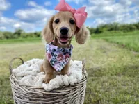 processed/626e8c41-28fd-43c9-bcb5-7dd9be7e6bc7/listing/154ff256-4452-44db-94a1-f250ff2cdeb3/fc0a5b53-1ae1-4c62-a5a9-5cc98e66d0f1