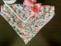 Addie Grace, a female Yorkshire Terrier for sale in Abbeville, GA – Photo 10 of 10