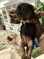 processed/626f5e66-b083-4a2f-a2c1-0894242b2ebf/facility/0c00c293-8526-4cdc-ac45-75037f6e91cc