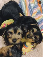 processed/626f5e66-b083-4a2f-a2c1-0894242b2ebf/facility/1b8c298f-febd-4bc9-8451-e67f1e0bd2b2