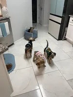 processed/626f5e66-b083-4a2f-a2c1-0894242b2ebf/facility/3ef5aa1b-8790-49ef-93a6-5dc9c2edccf0