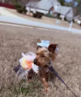 processed/626f5e66-b083-4a2f-a2c1-0894242b2ebf/facility/aba80f09-34c7-486c-bcfa-6f7befc3a1b2